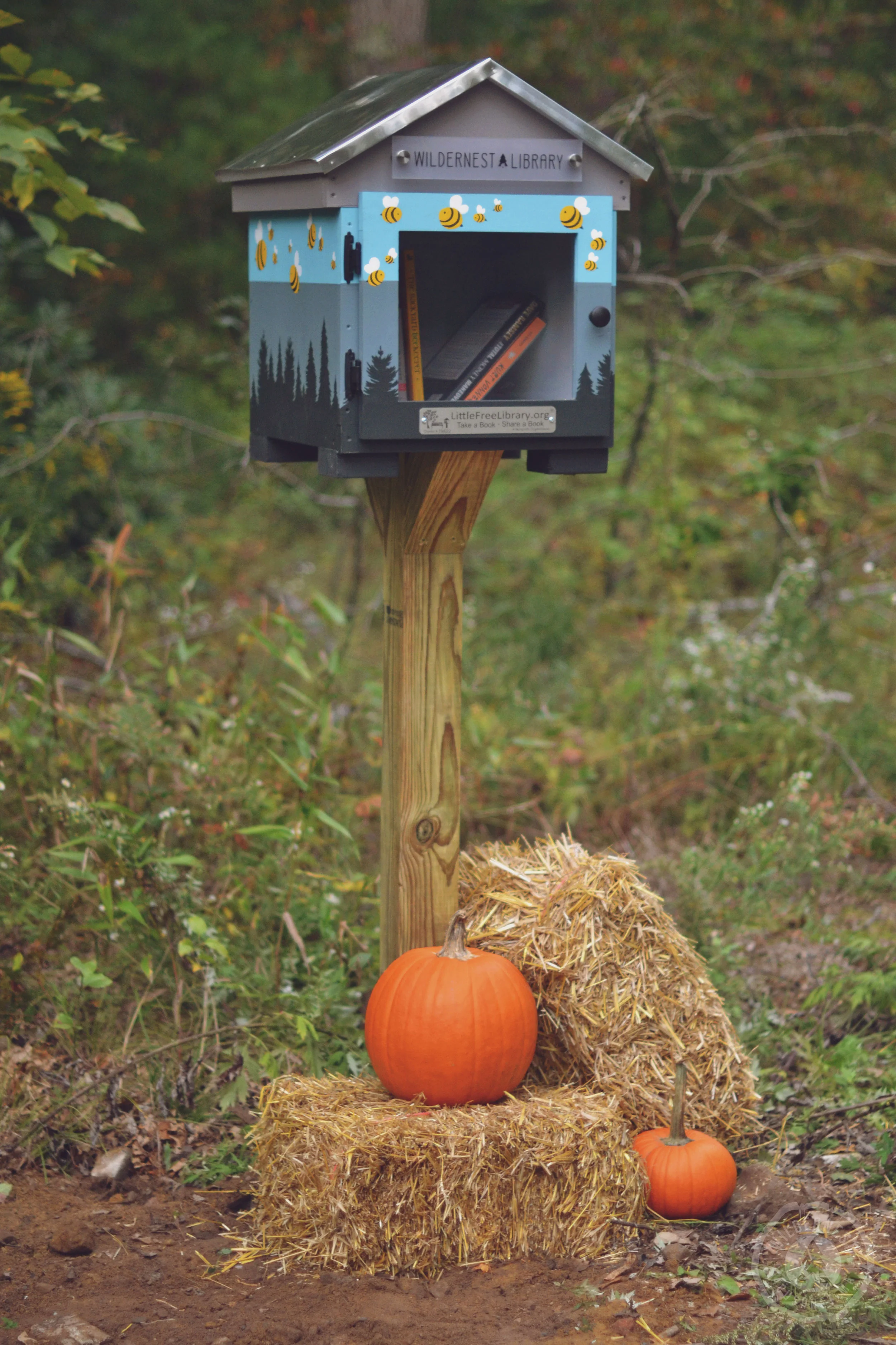 Oct0718_LittleLibrary_4.jpg