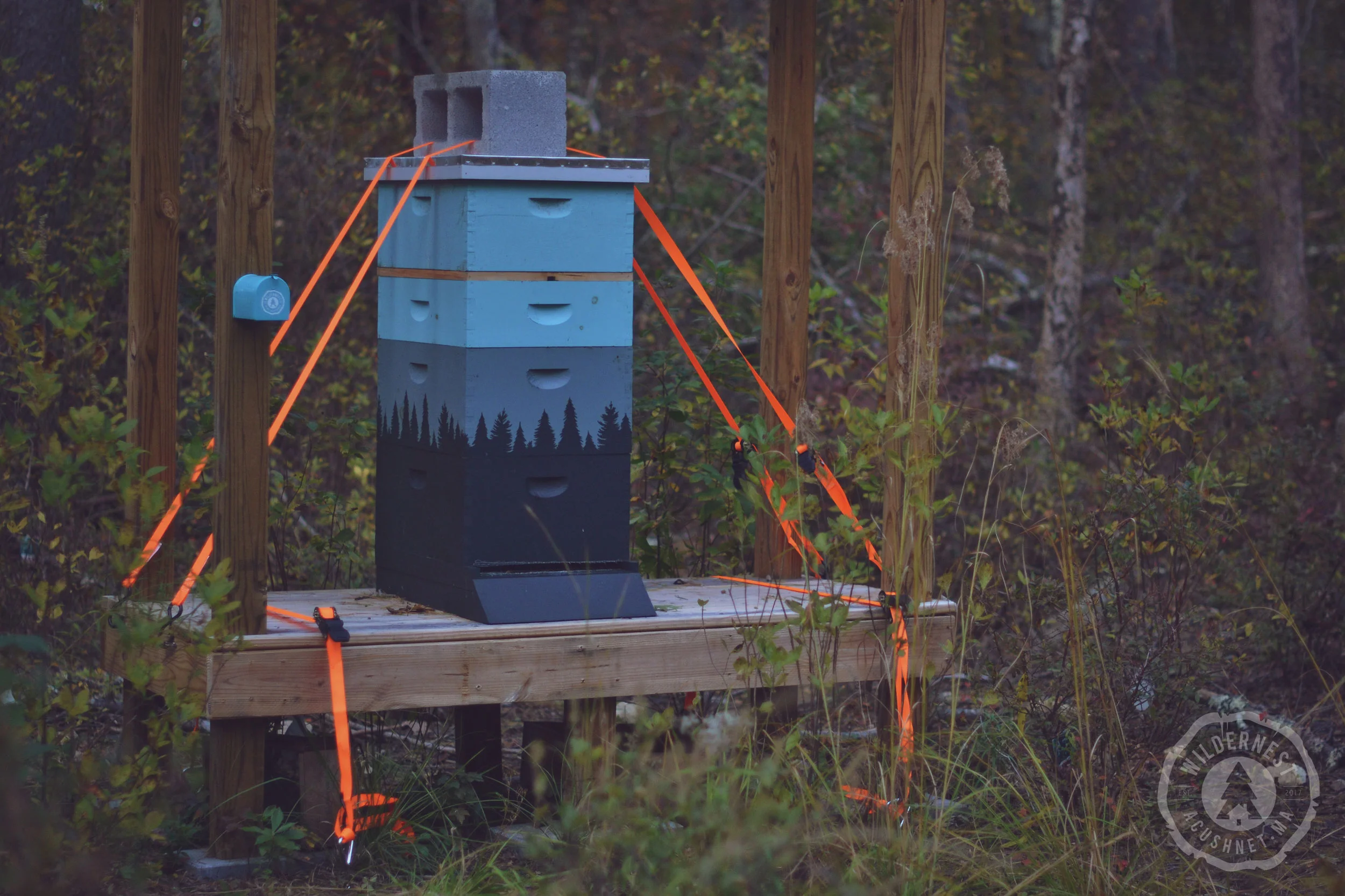 Hive_Oct26_1.jpg