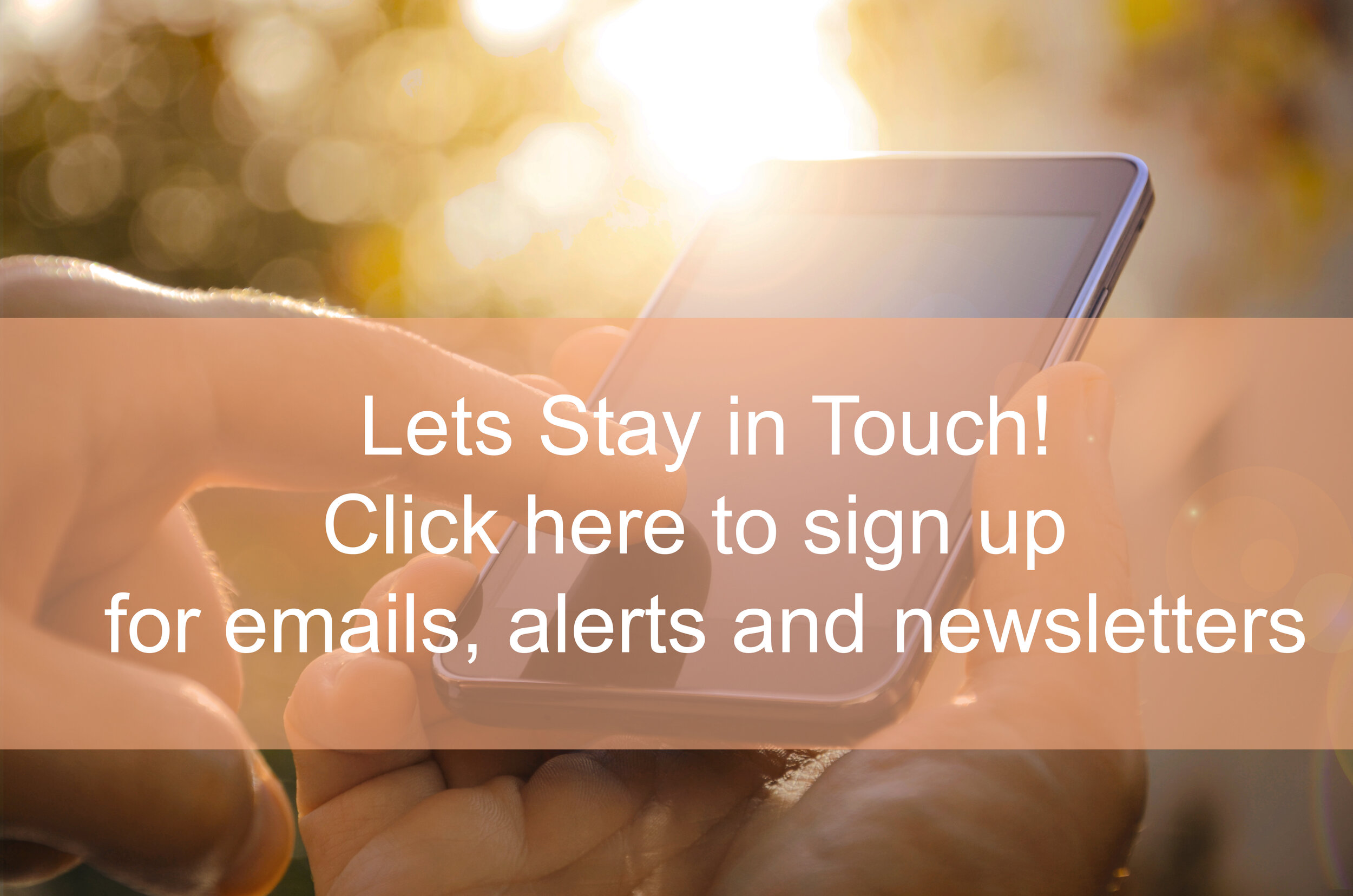 cell phone image2.jpg