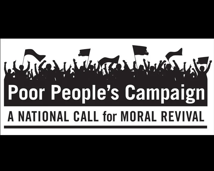 ppc IMAGE FOR WEBSITE.jpg