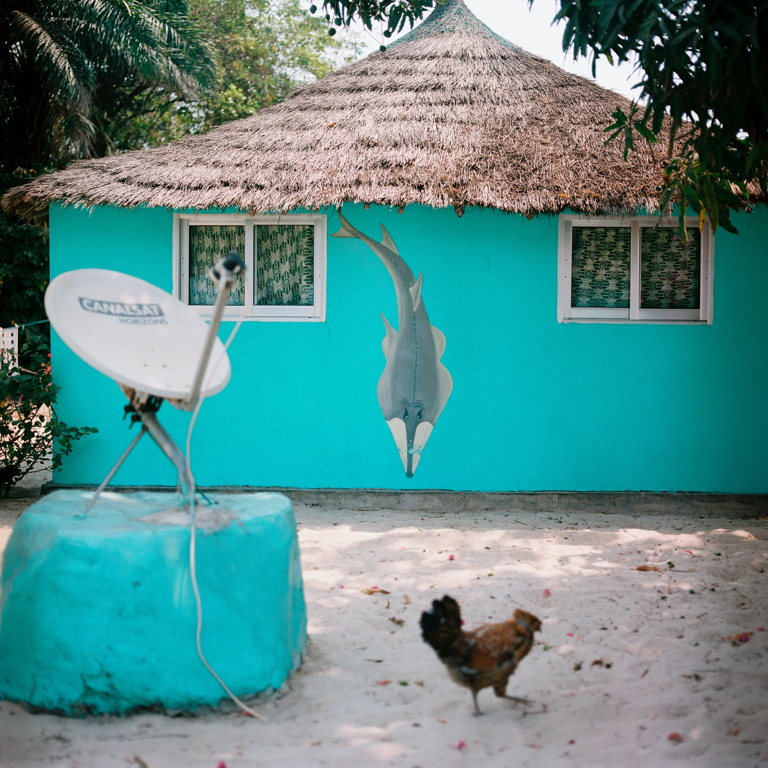 Guinea-Bissau, 2019