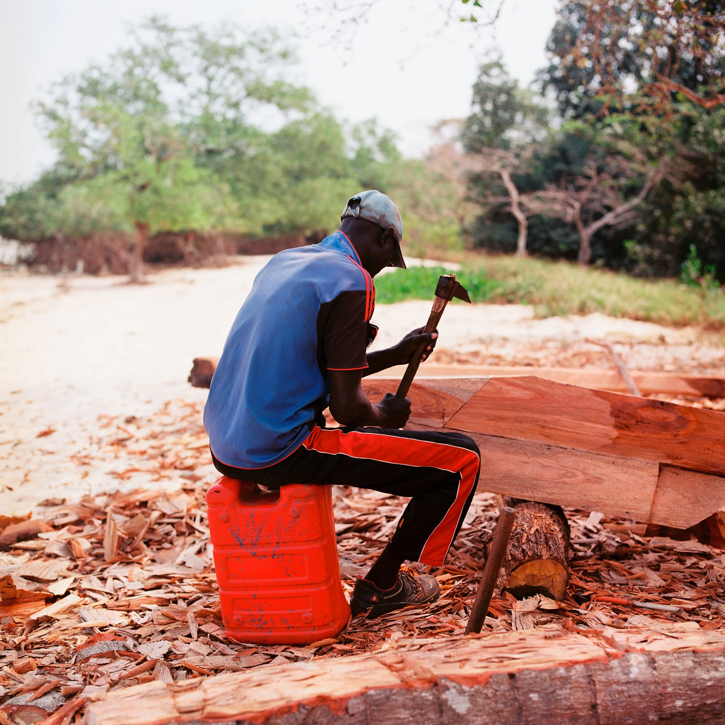 Guinea-Bissau, 2019