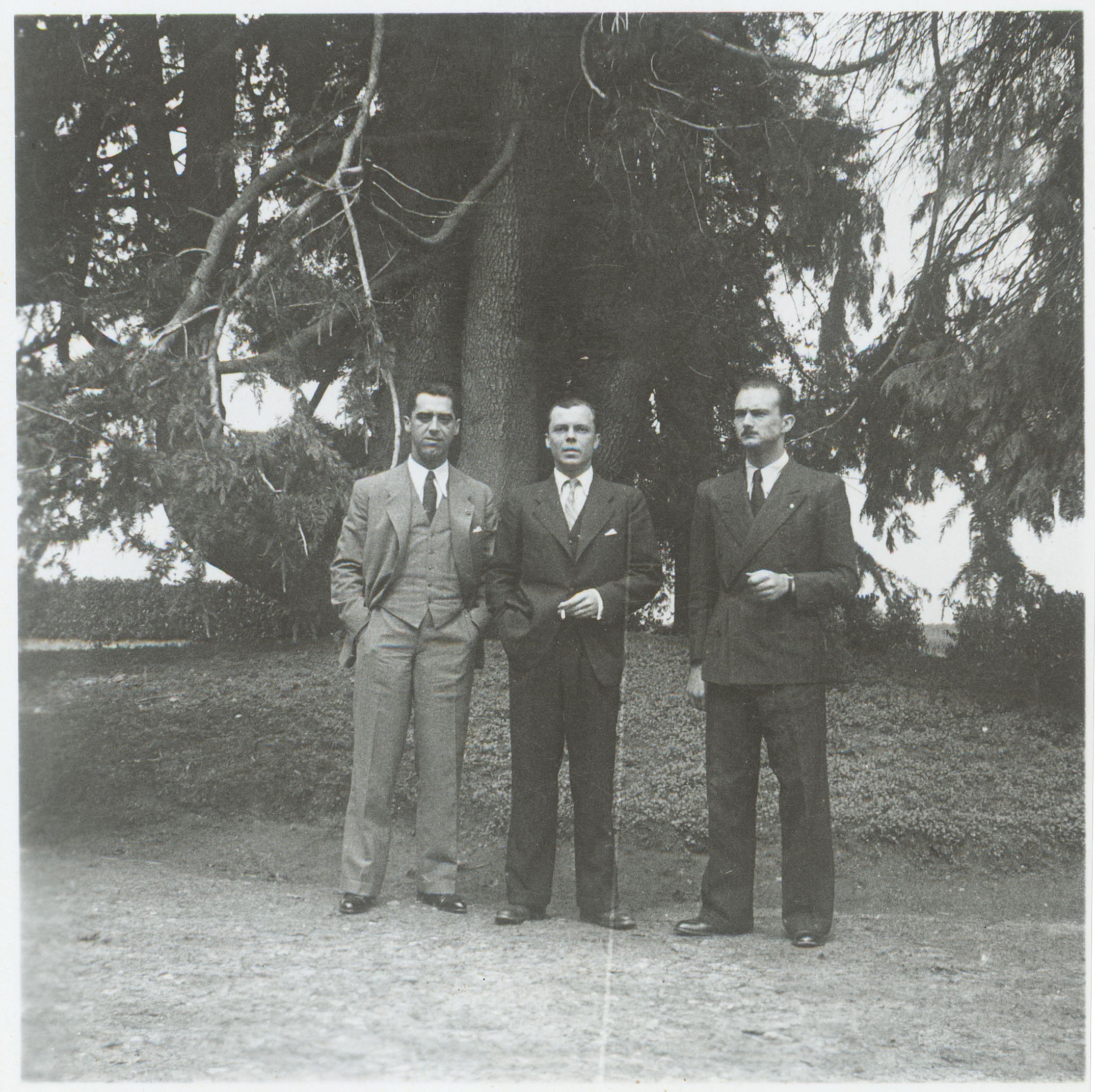 Trees planted by my great grandfather( in the middle) 's grandfather which will outlive us