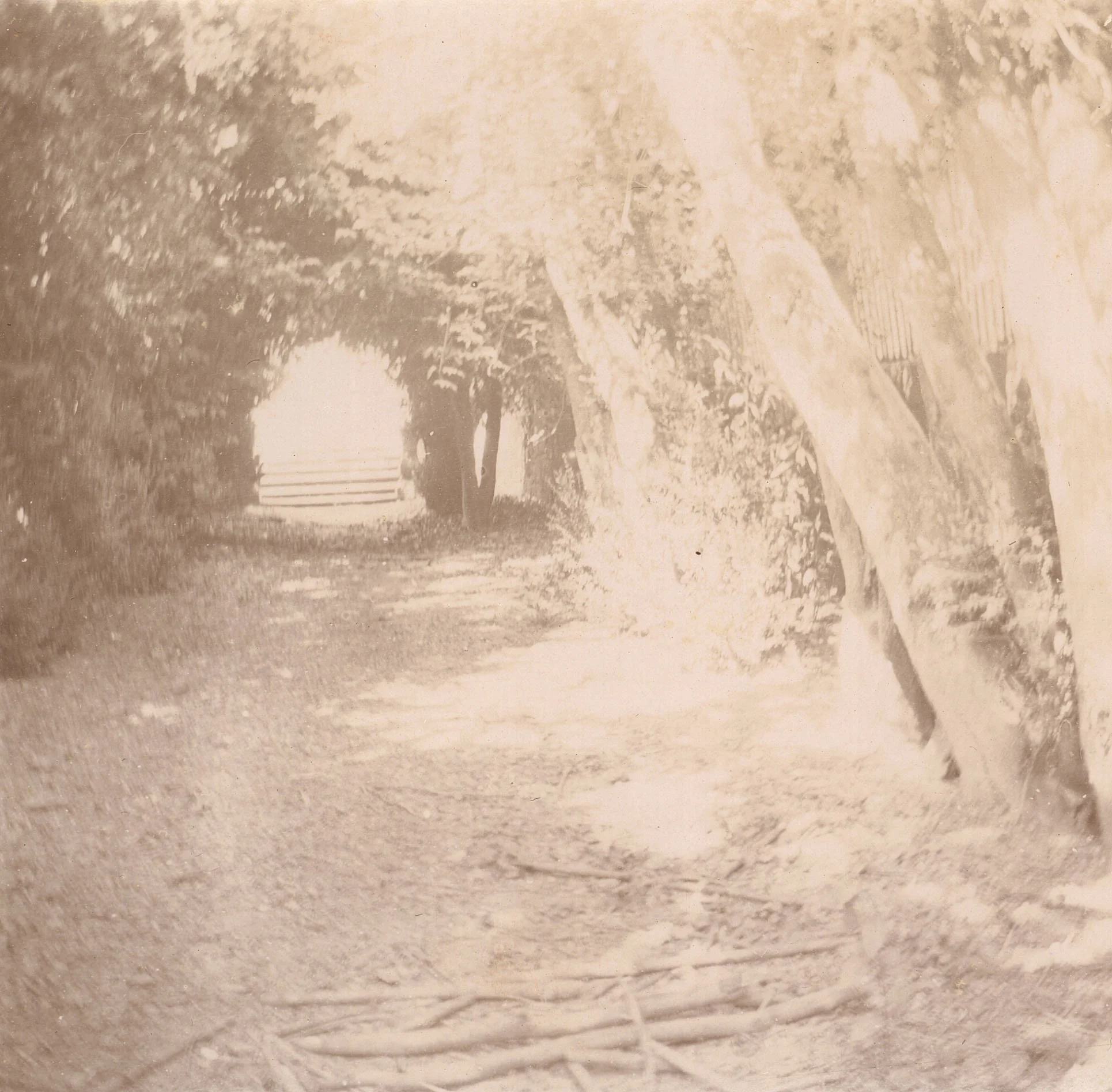 18798_1.jpg
