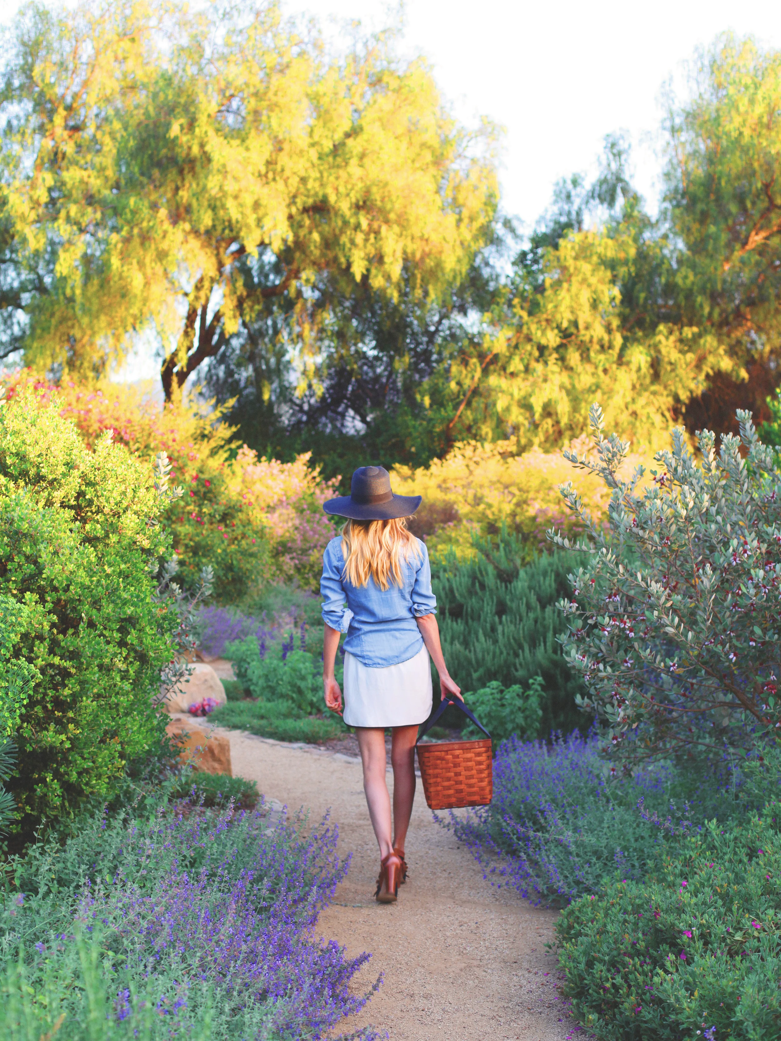 blog-JessieWebster_Squarespace_32.jpg