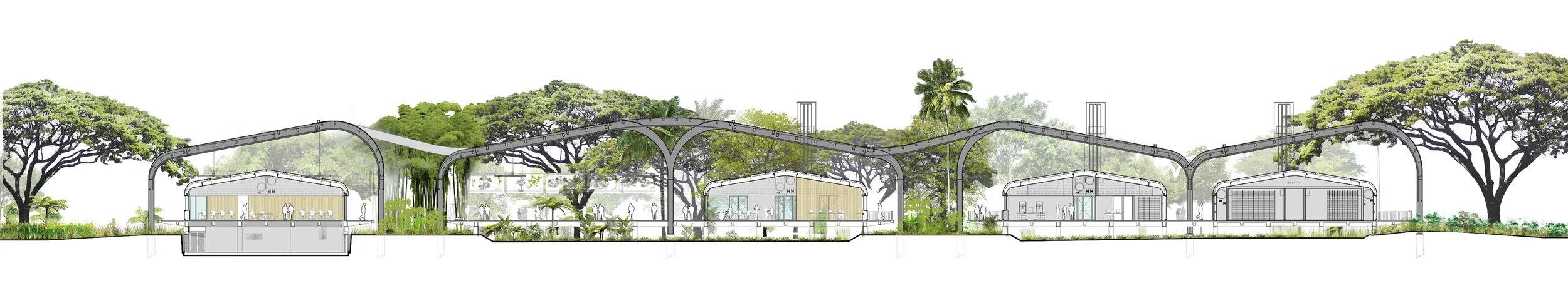 SECCION ARQUITECTÓNICA.jpg