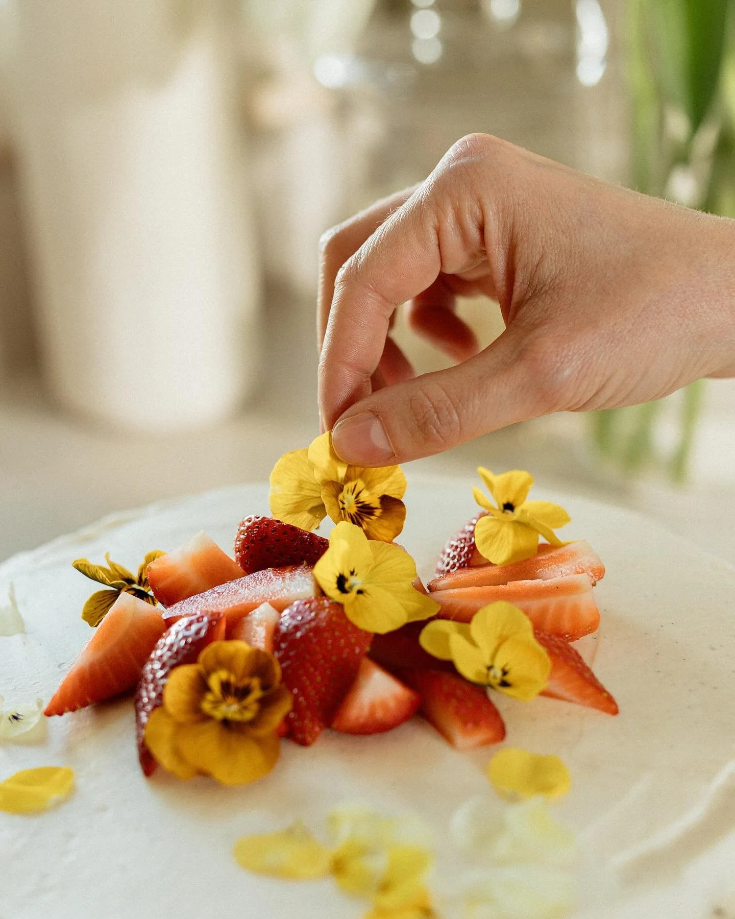 SS 23 at @pine_weekendhouse