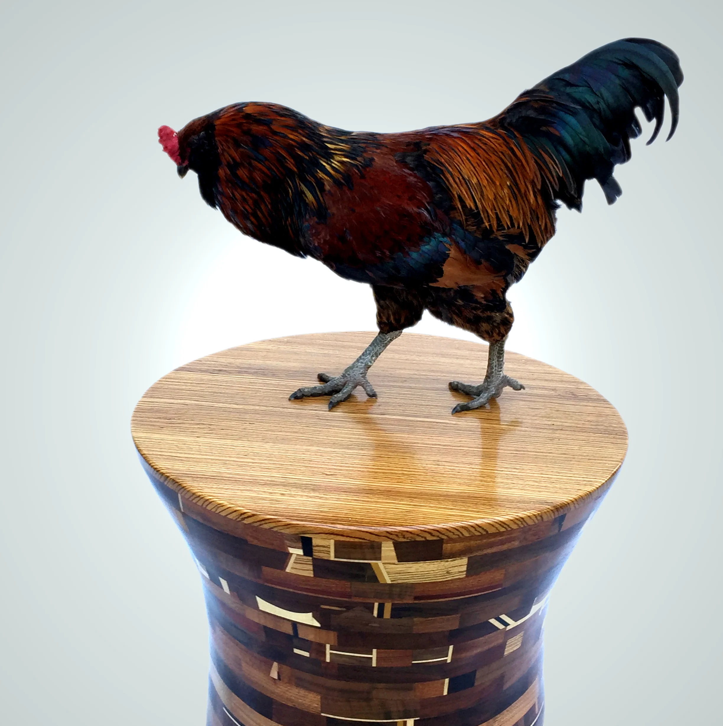 Rooster1Gray.JPG