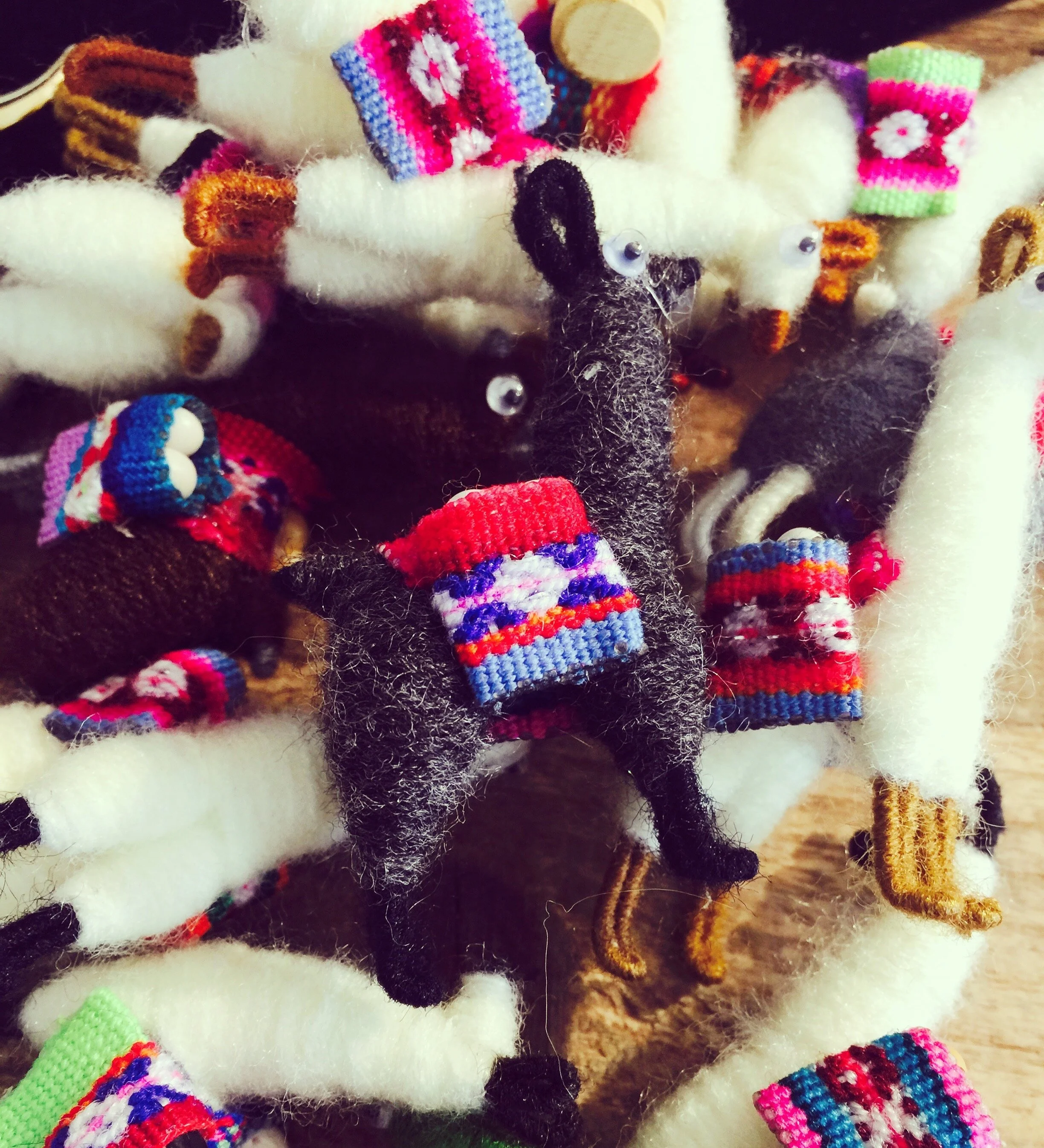 Llamas.jpg