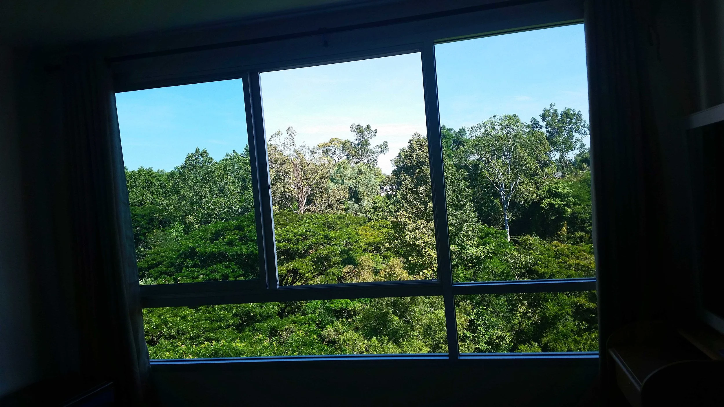 Bug-Window-Web.jpg