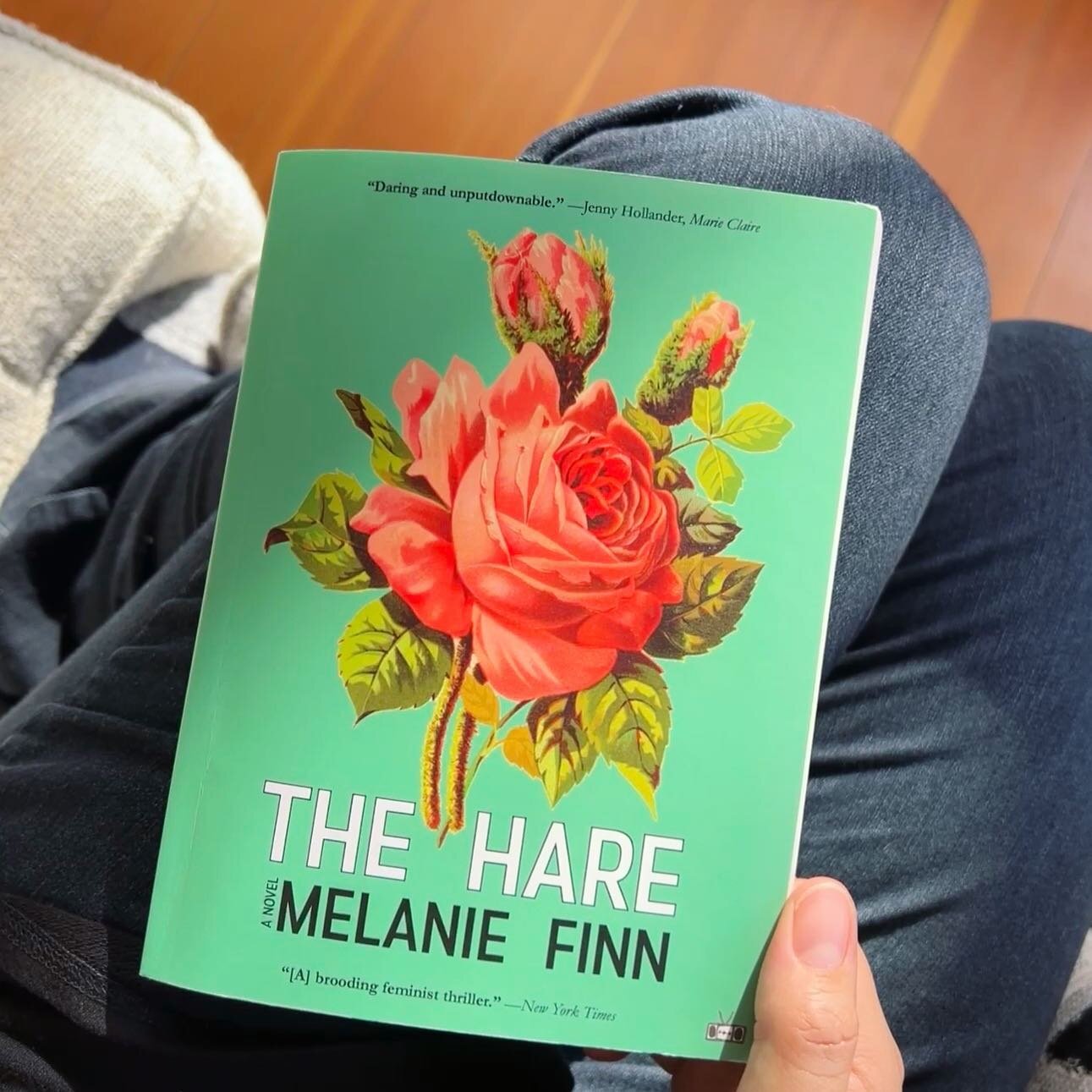 This cover, right?

The Hare by Melanie Finn is a whatever the opposite of a comfort read is&mdash;but it does it&rsquo;s discomfort so well. Rose, a young woman on the verge of one sort of future, is ripped (drawn? dragged? flung?) into another one 