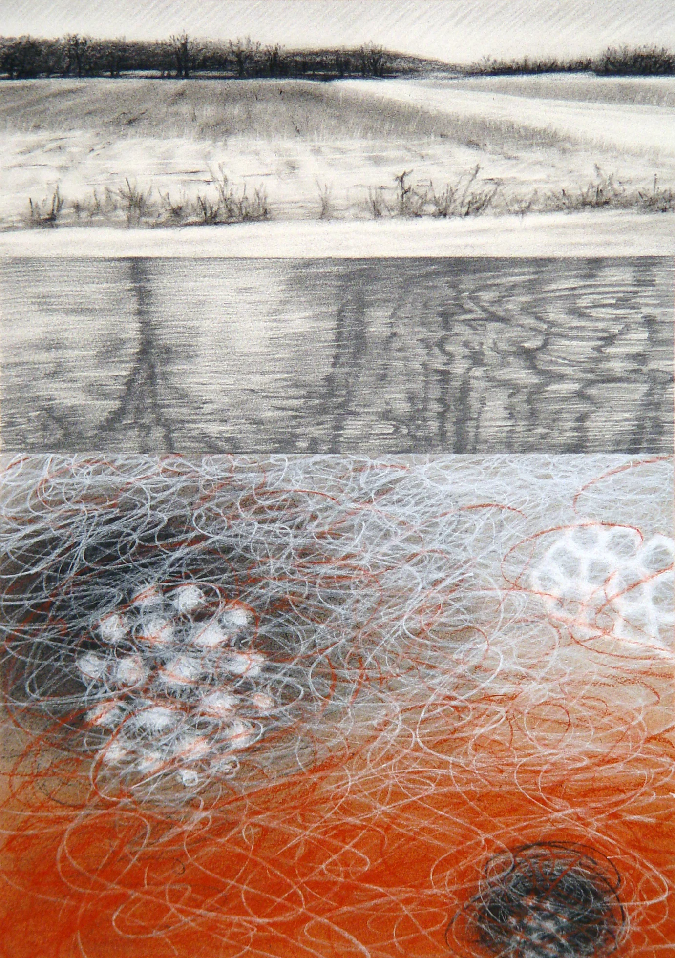 Beyond Appearances 010