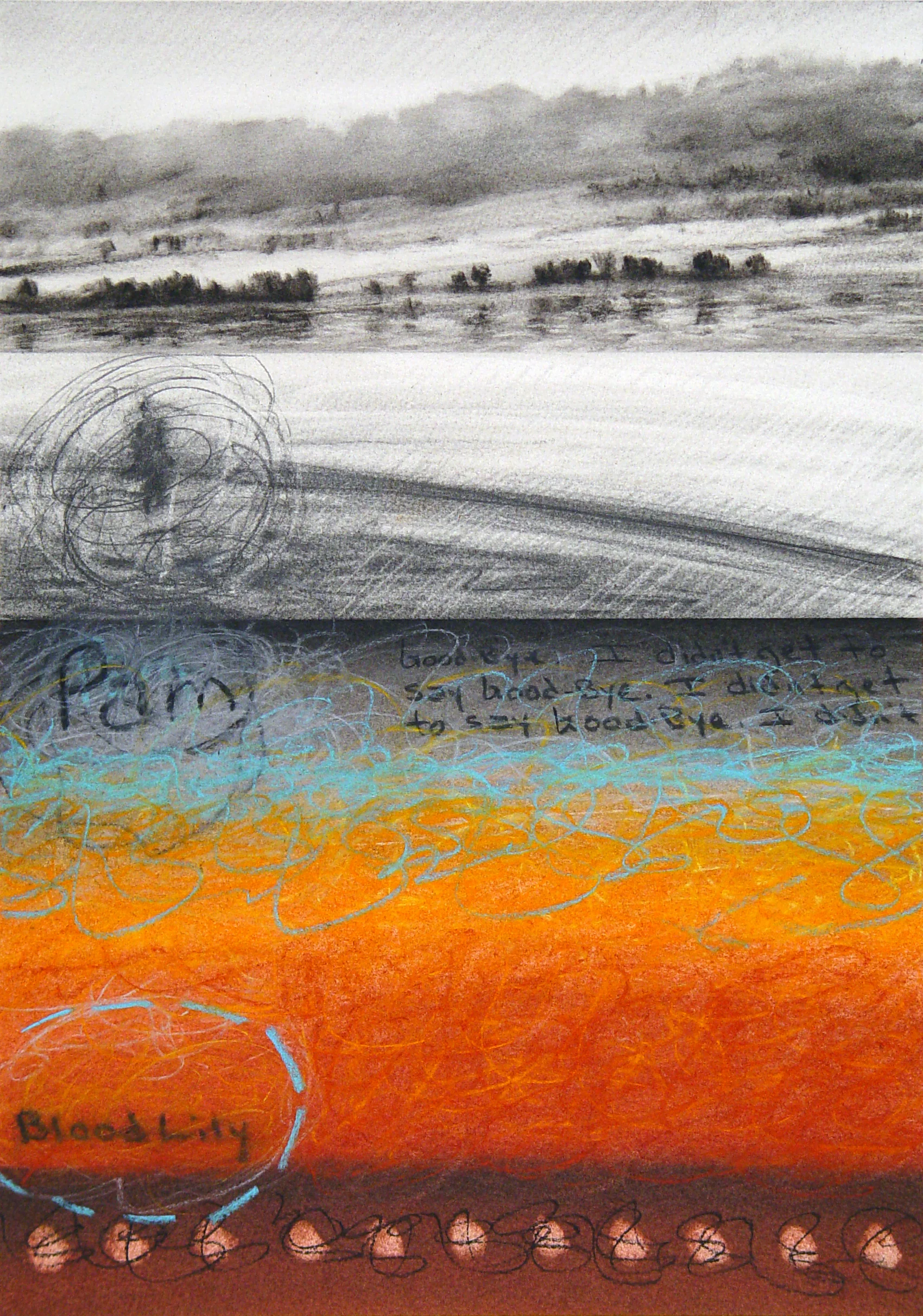 Beyond Appearances 019