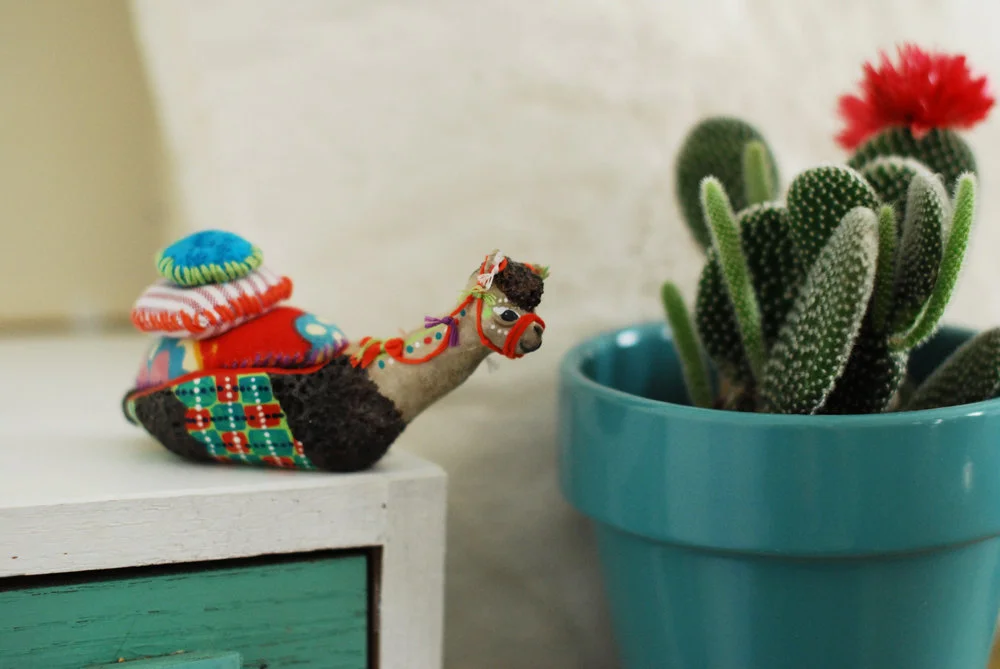 Pablo the Alpaca