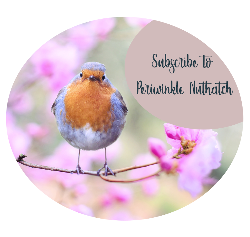 perieinklt nuthatch subscribers.png