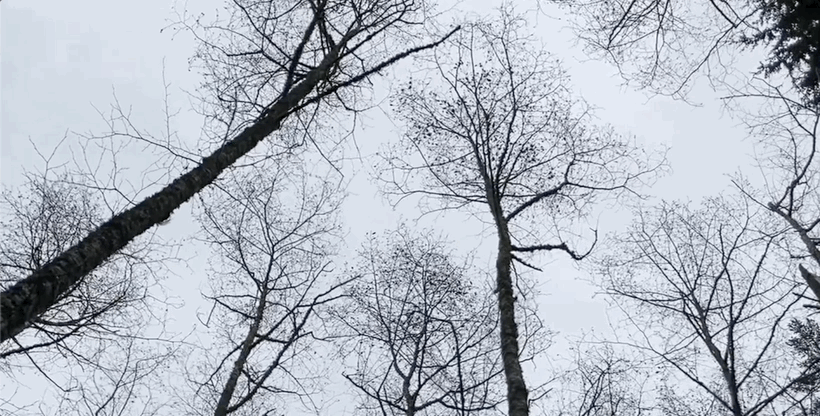 Stillness & Movement