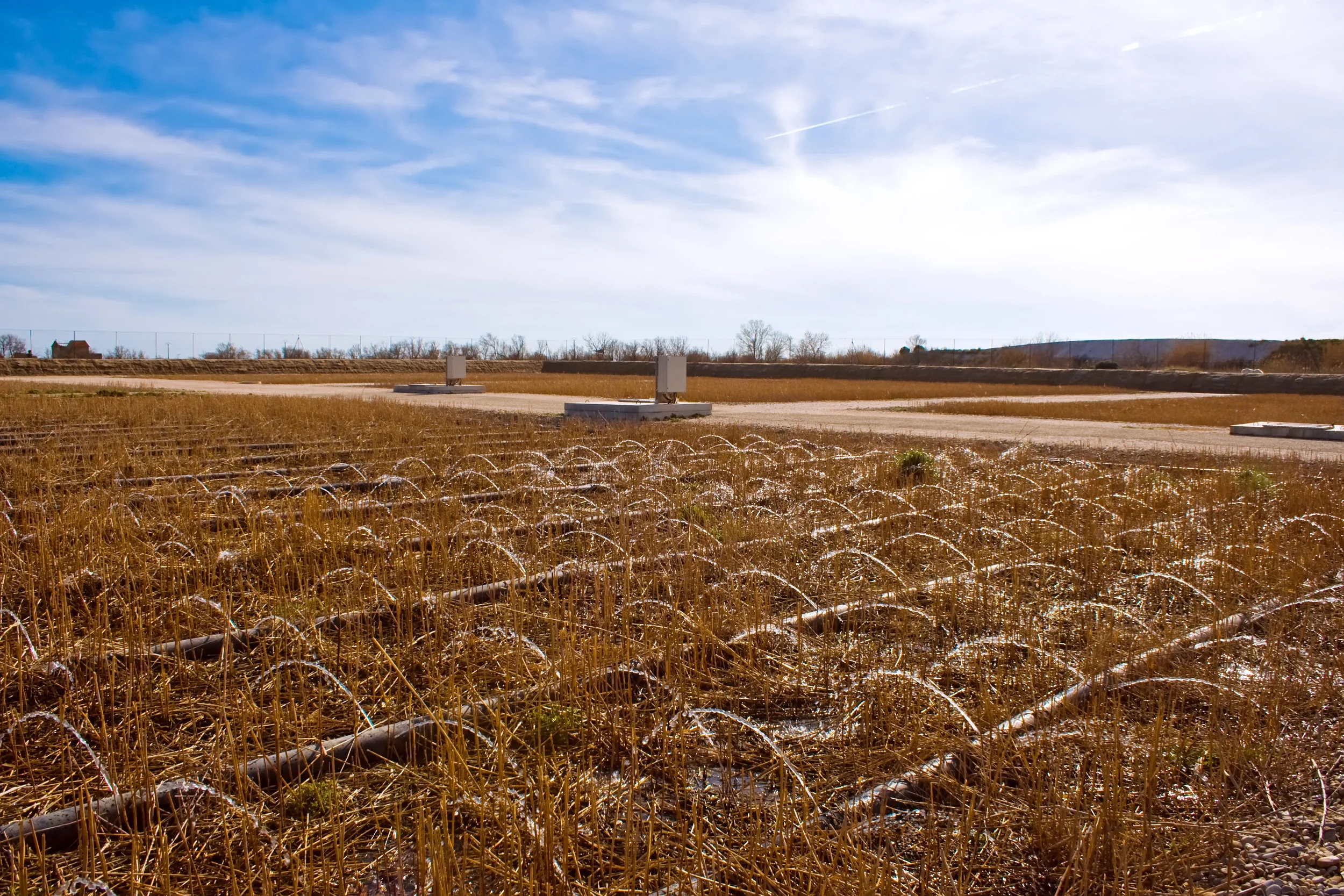 shutterstock_75695698 treatment wetland.jpg