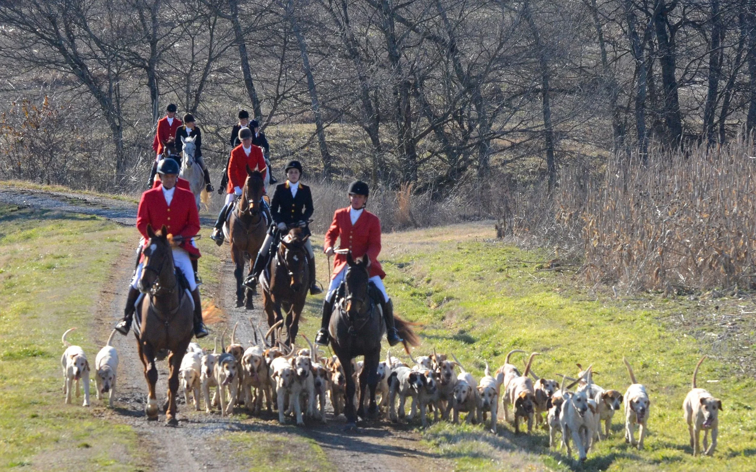 Hunt_2_2550px_web.jpg