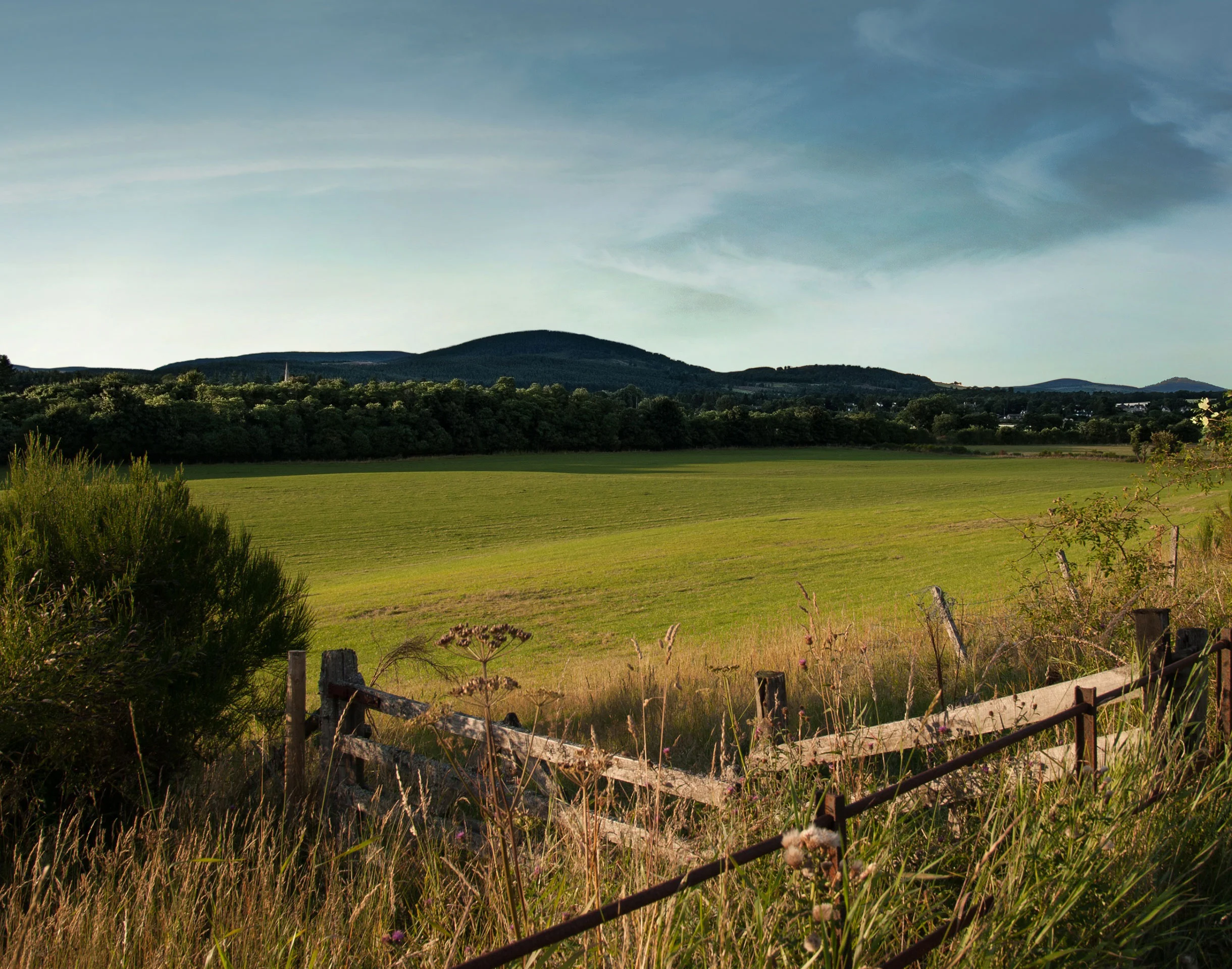 06_Land_5_2440px_revised_web.jpg