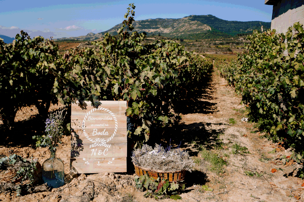 Boda-civil-entre-viñas-13 (1).gif