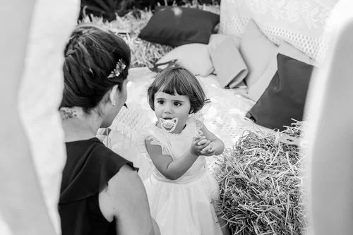 Boda-civil-entre-viñas-51.jpg