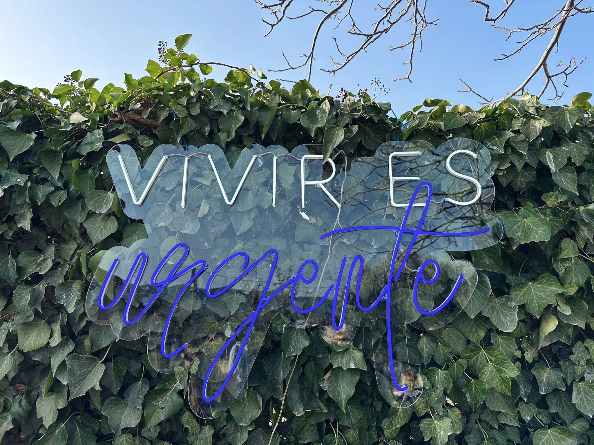 WhatsApp Image 2023-02-20 at 09.31.53.jpeg