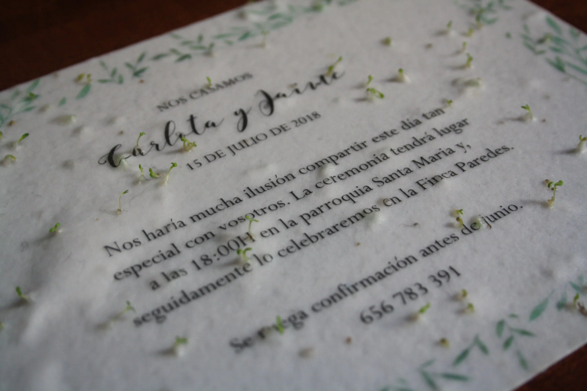 Invitaciones de boda sostenibles que se plantan