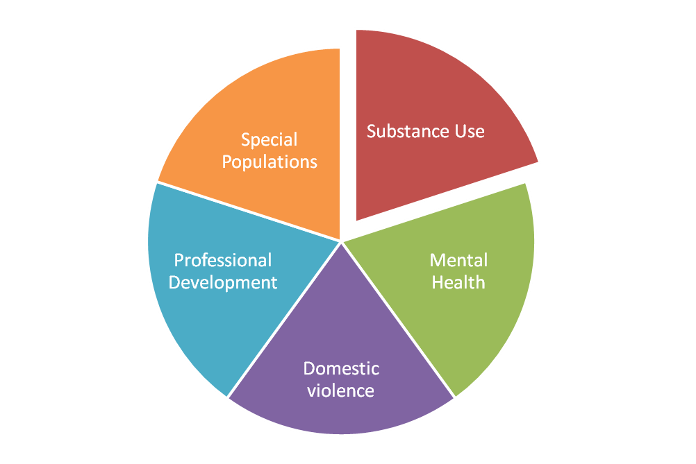 Substance use HPWC Pie.png