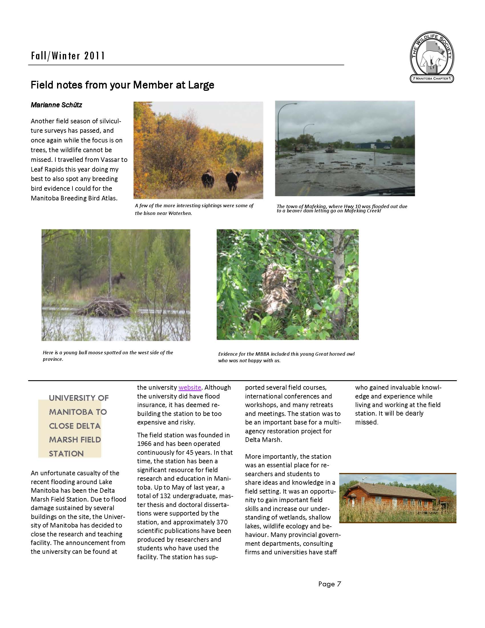 december_2011_Page_07.jpg