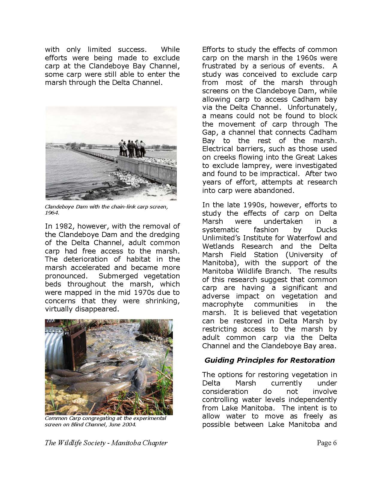 April_2007_Page_06.jpg
