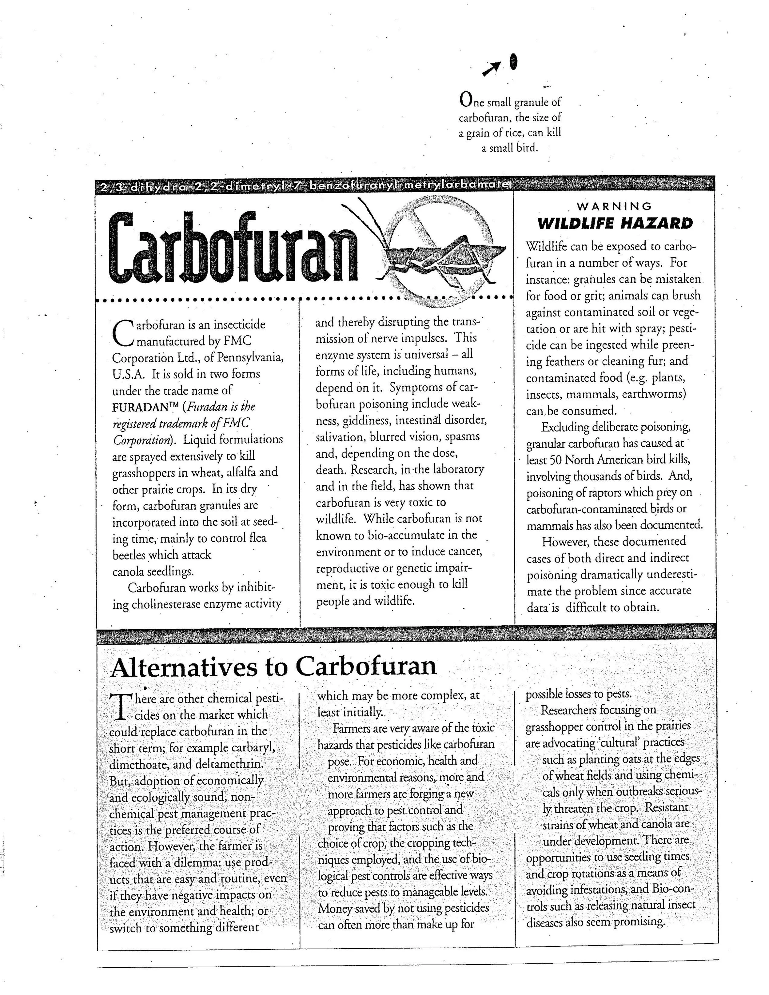 September_1993_Page_06.jpg