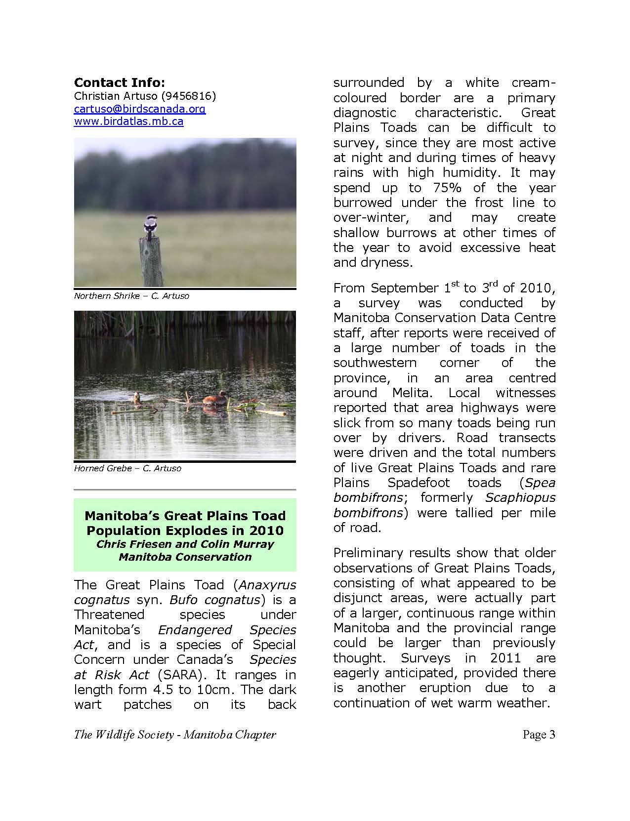 november_2010_Page_03.jpg