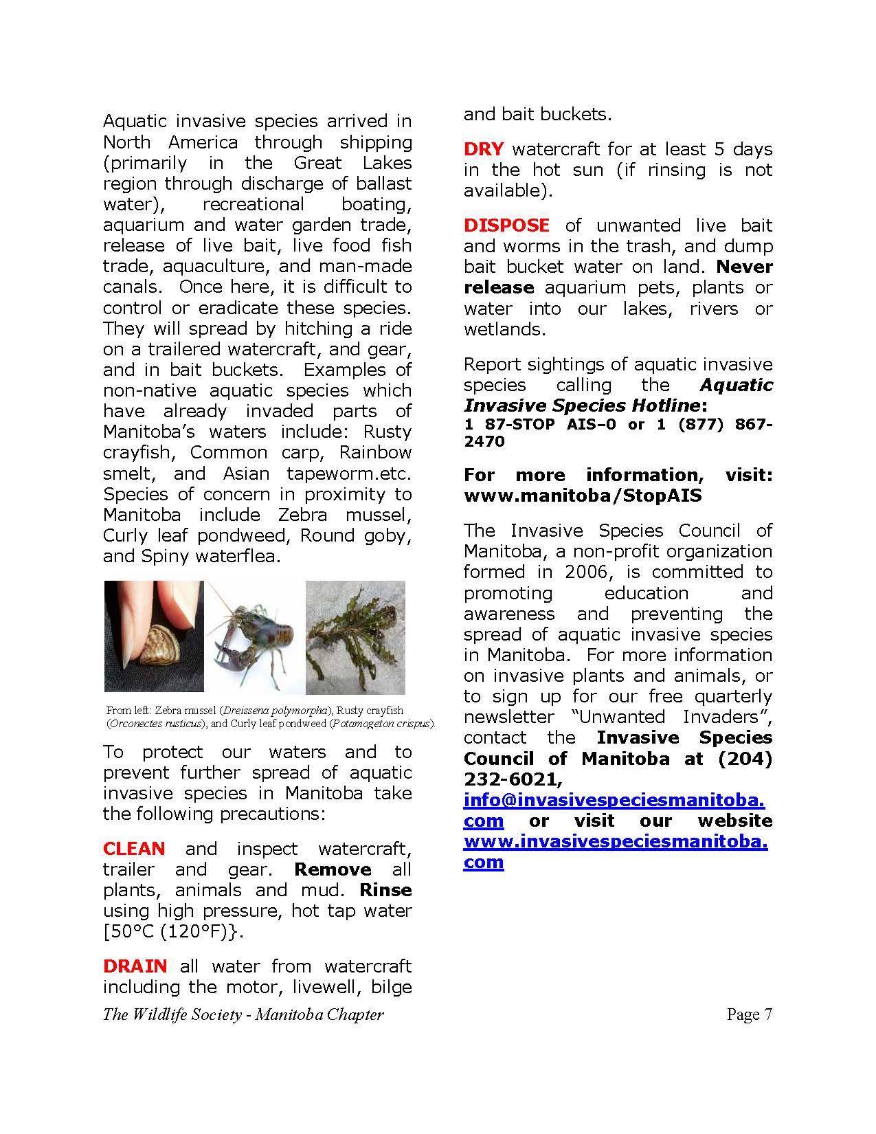 november_2010_Page_07.jpg