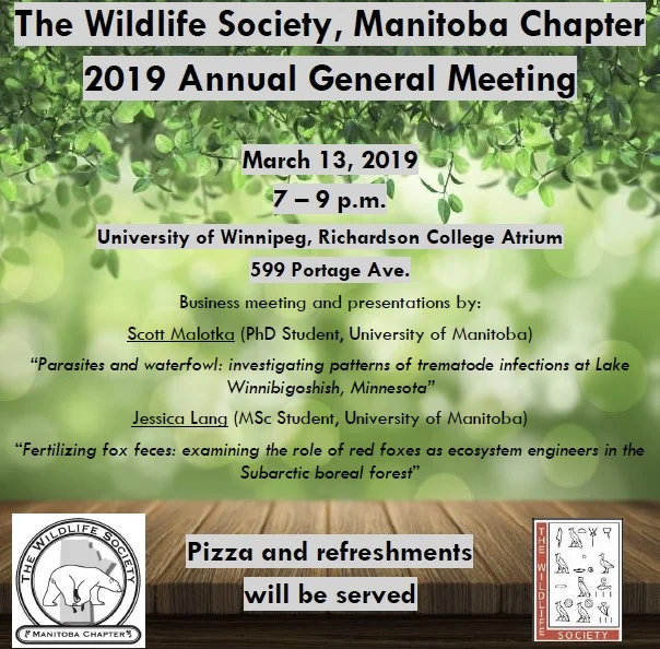 2019 Annual General Meeting