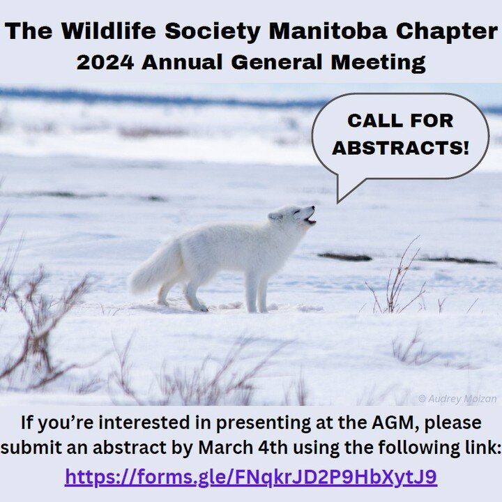 #ThinkLearnDo
Deadline to submit an abstract to this year's TWS Manitoba Chapter AGM is March 4th!
Click here to submit an abstract (or poster) - https://forms.gle/X63rHFHL9vUMh73k6
Click here for more information on this year's AGM - https://www.tws