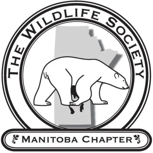 MB_logo.jpg