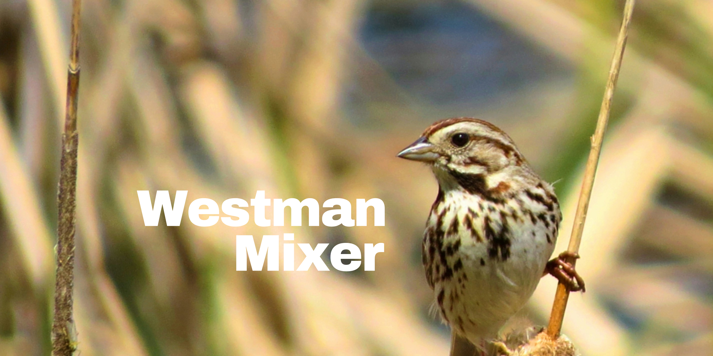 2024 Westman Mixer