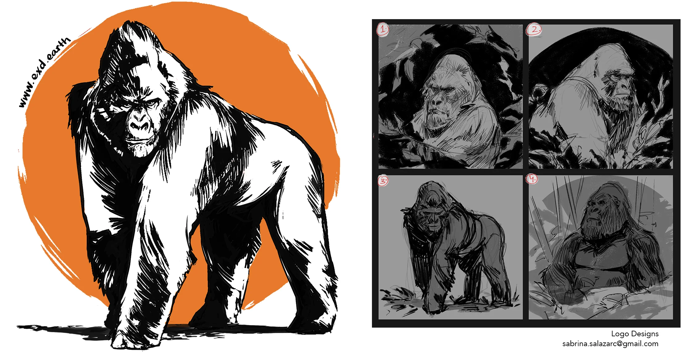 PortfolioUpdate_2018_022.jpg