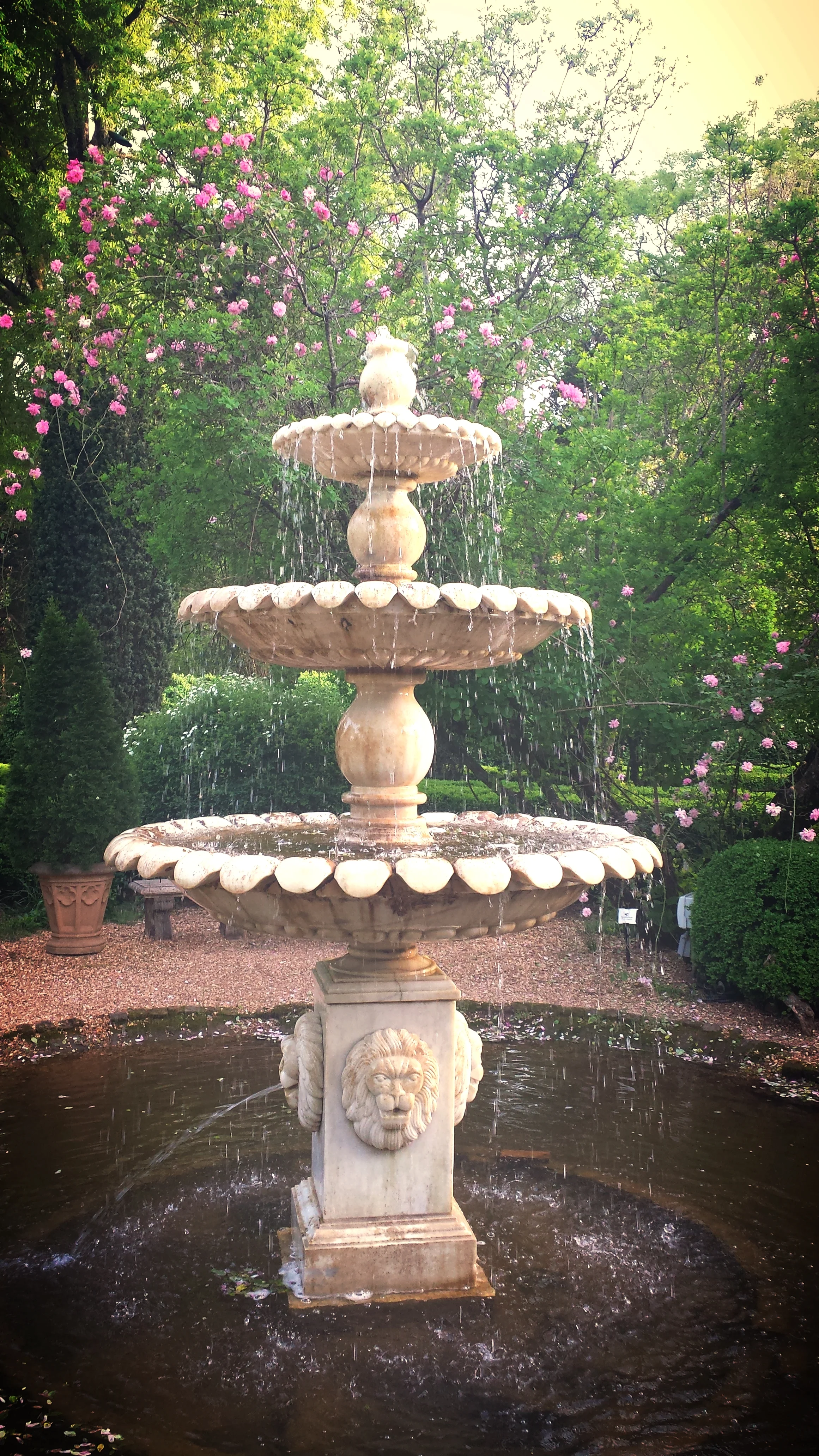 20160418_190516.jpg