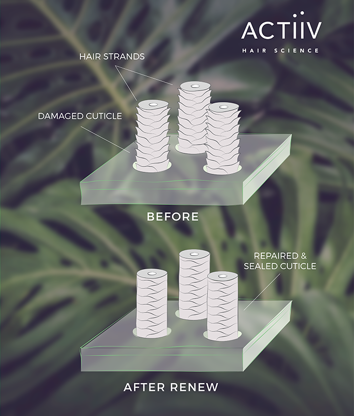 Social-media-actiiv-06.png