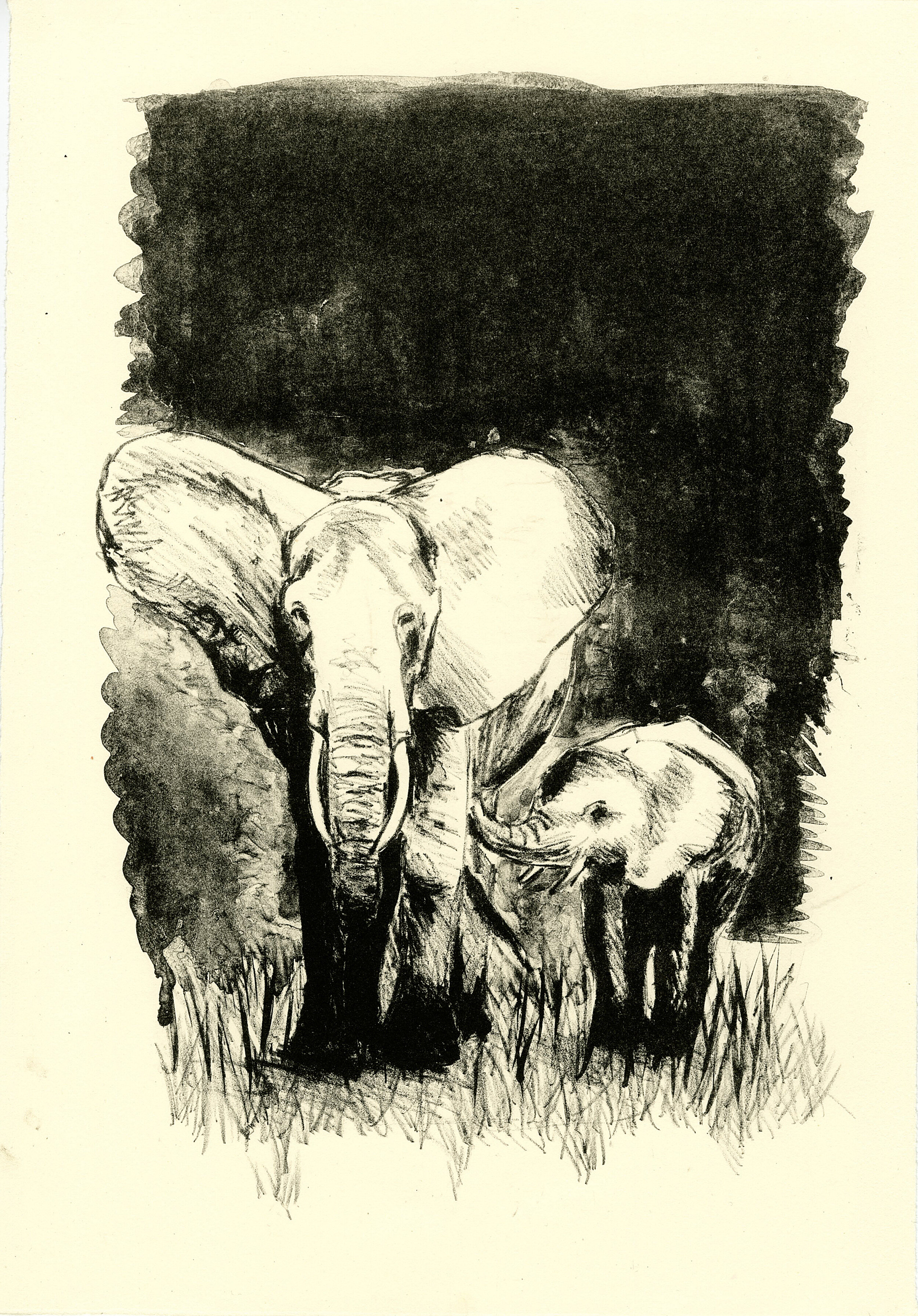 Ivory Elephants