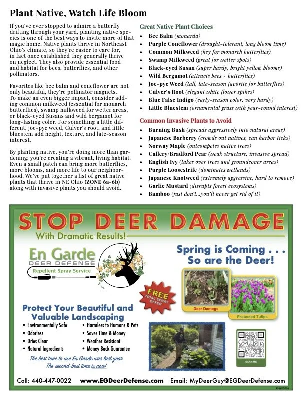 FHHO Spring 2026 Newsletter Page 3.jpg