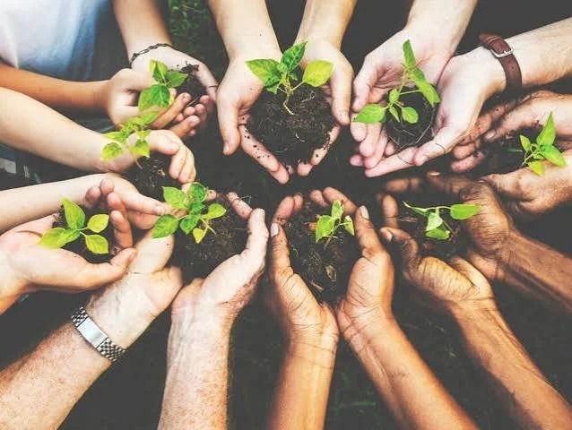 Plant and Seed Swap