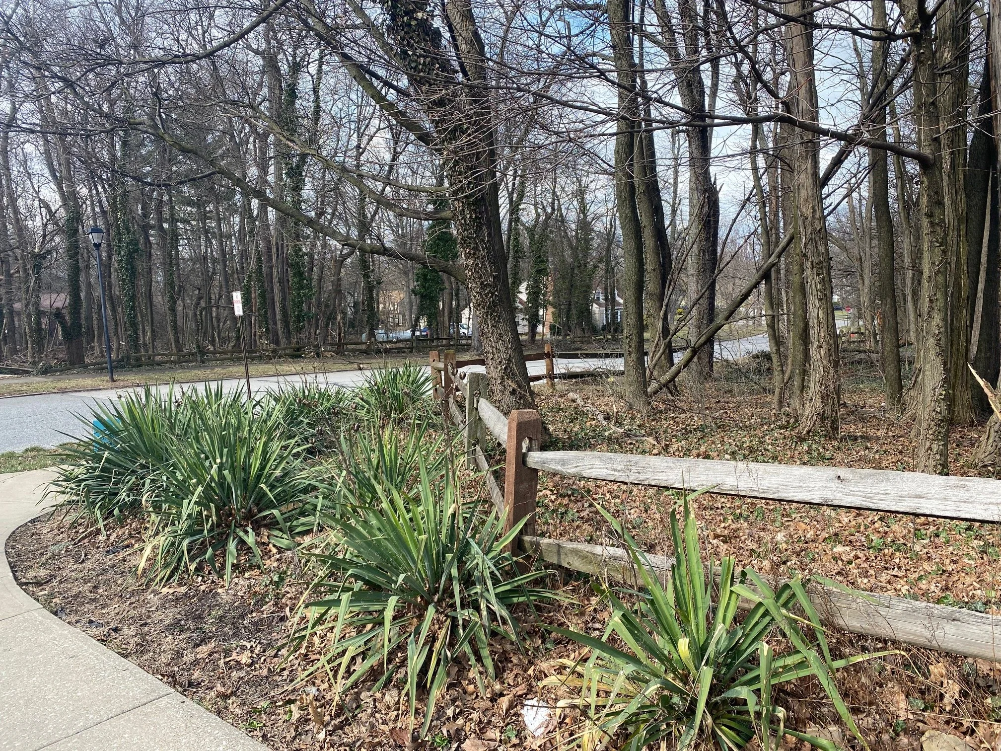 Burlington Lot Cleanup