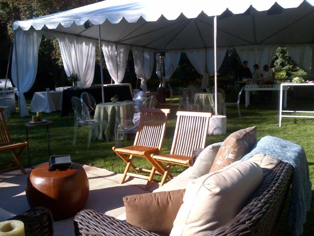 summer yard.jpg