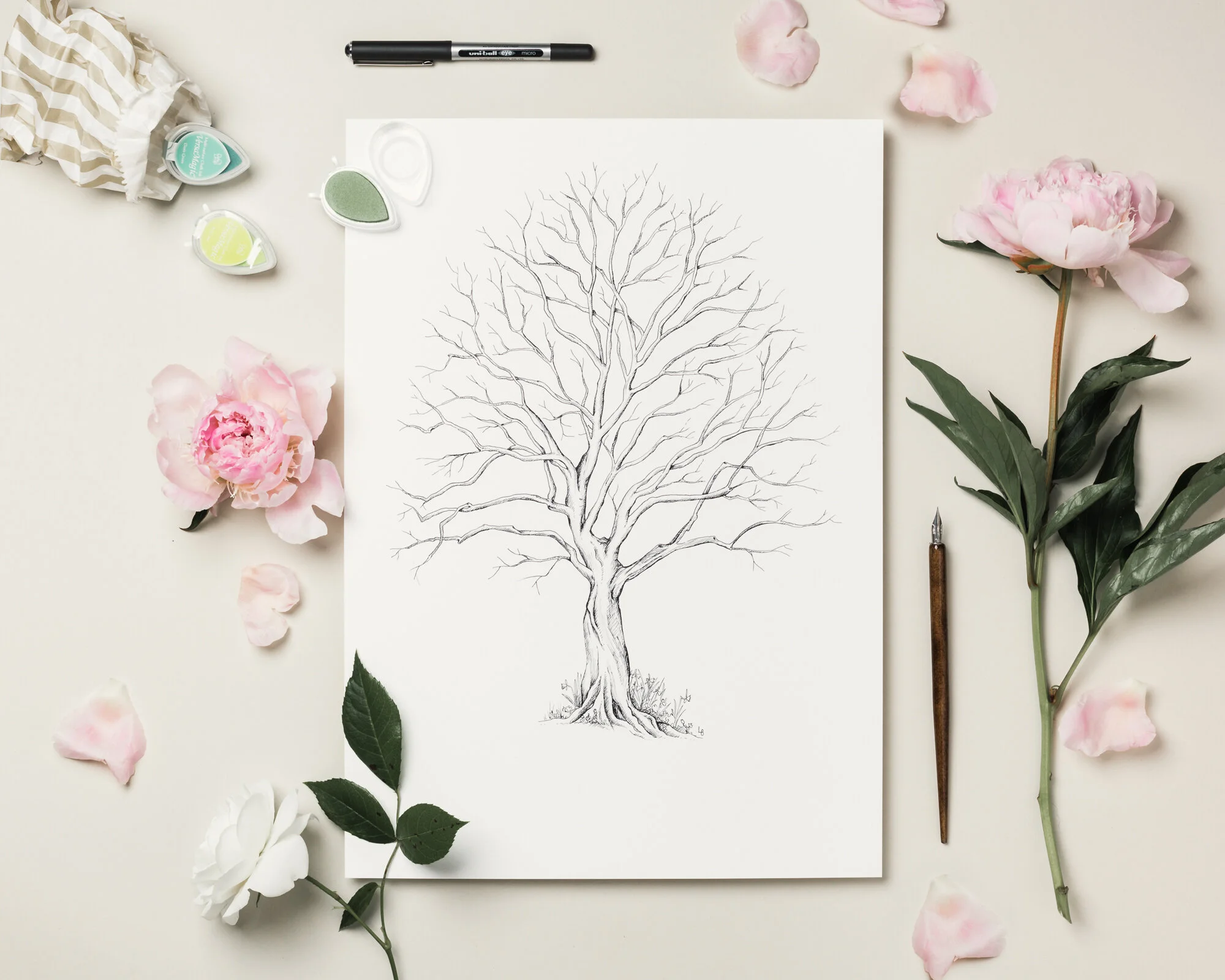 B366E30B-069D-4E41-BD7D-BE2DFA9E0462