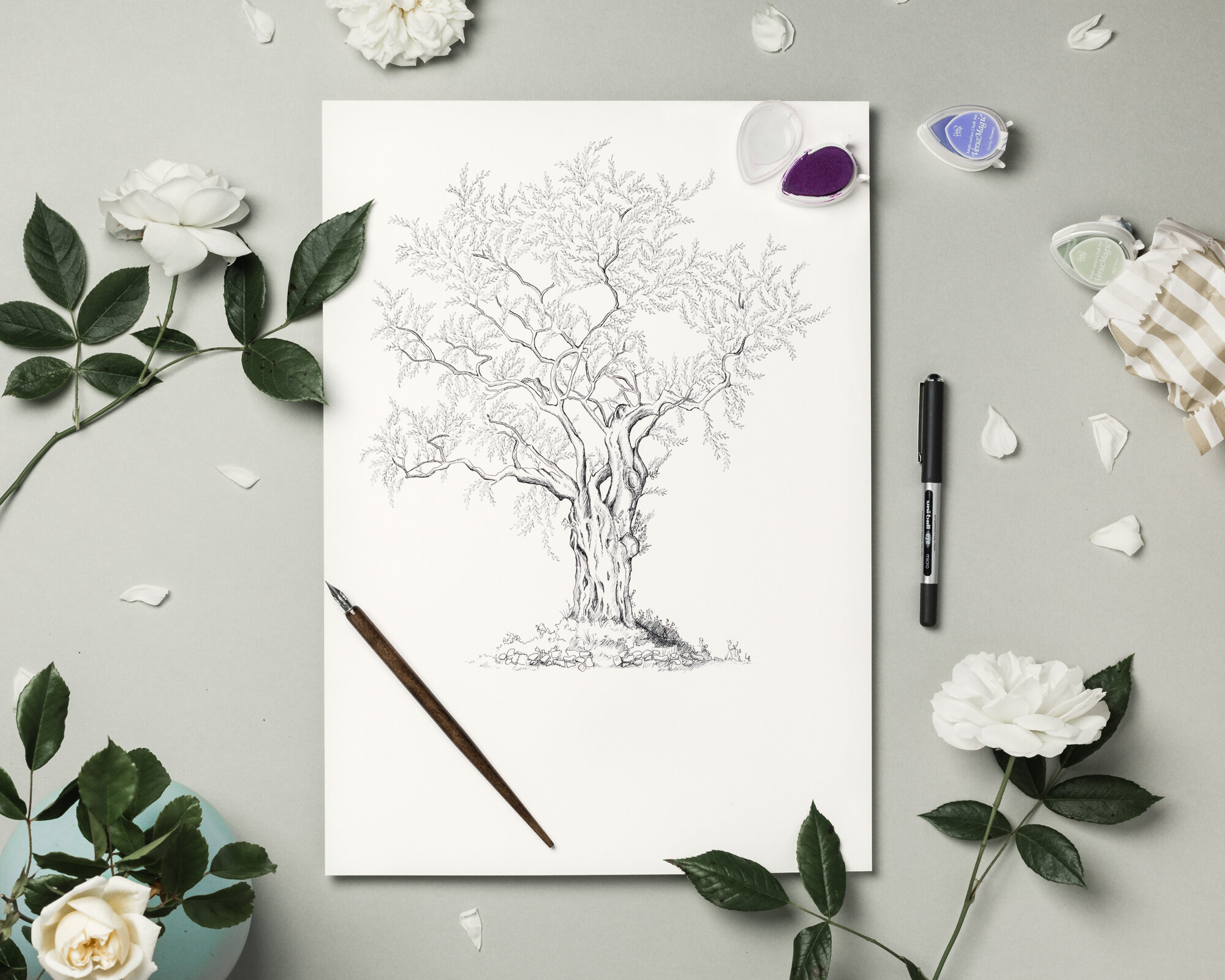 EC1ABB38-3BCB-435A-851B-0041596A6B3B