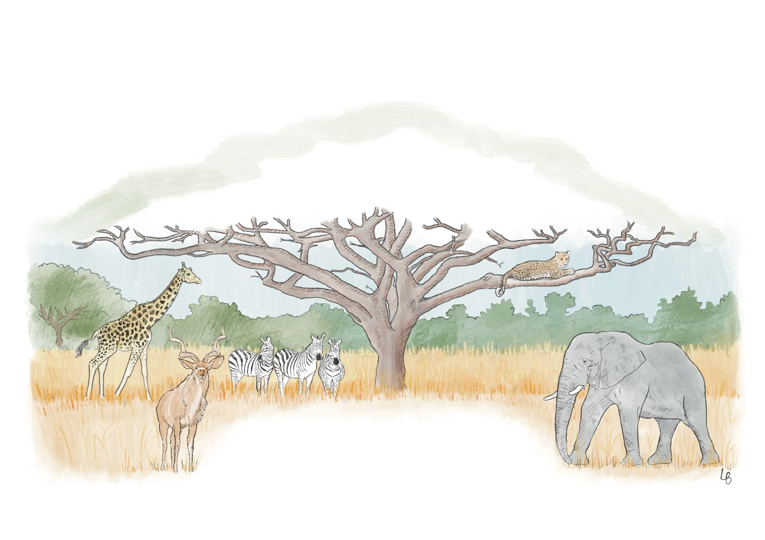 8DFE5A50-BD45-418F-84F2-5FC20F392C23