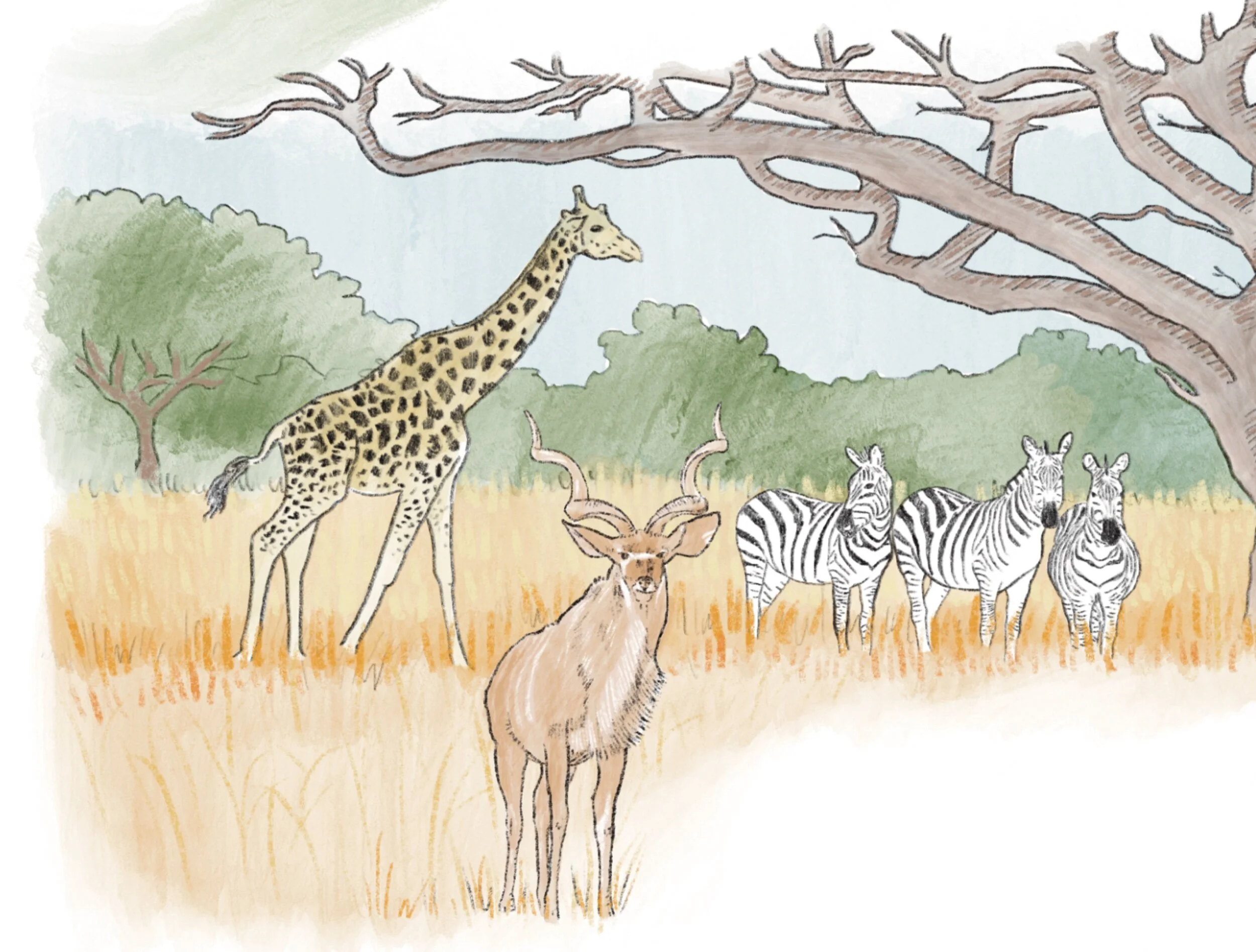 31CED8AE-F1A7-445F-B706-515DAF984DD7