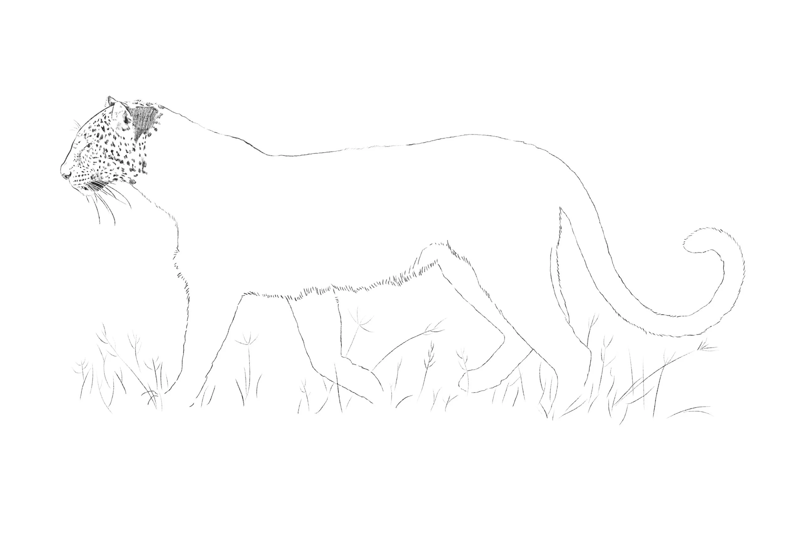 879A1912-BC2B-494E-8BB0-59C7BBBE469F